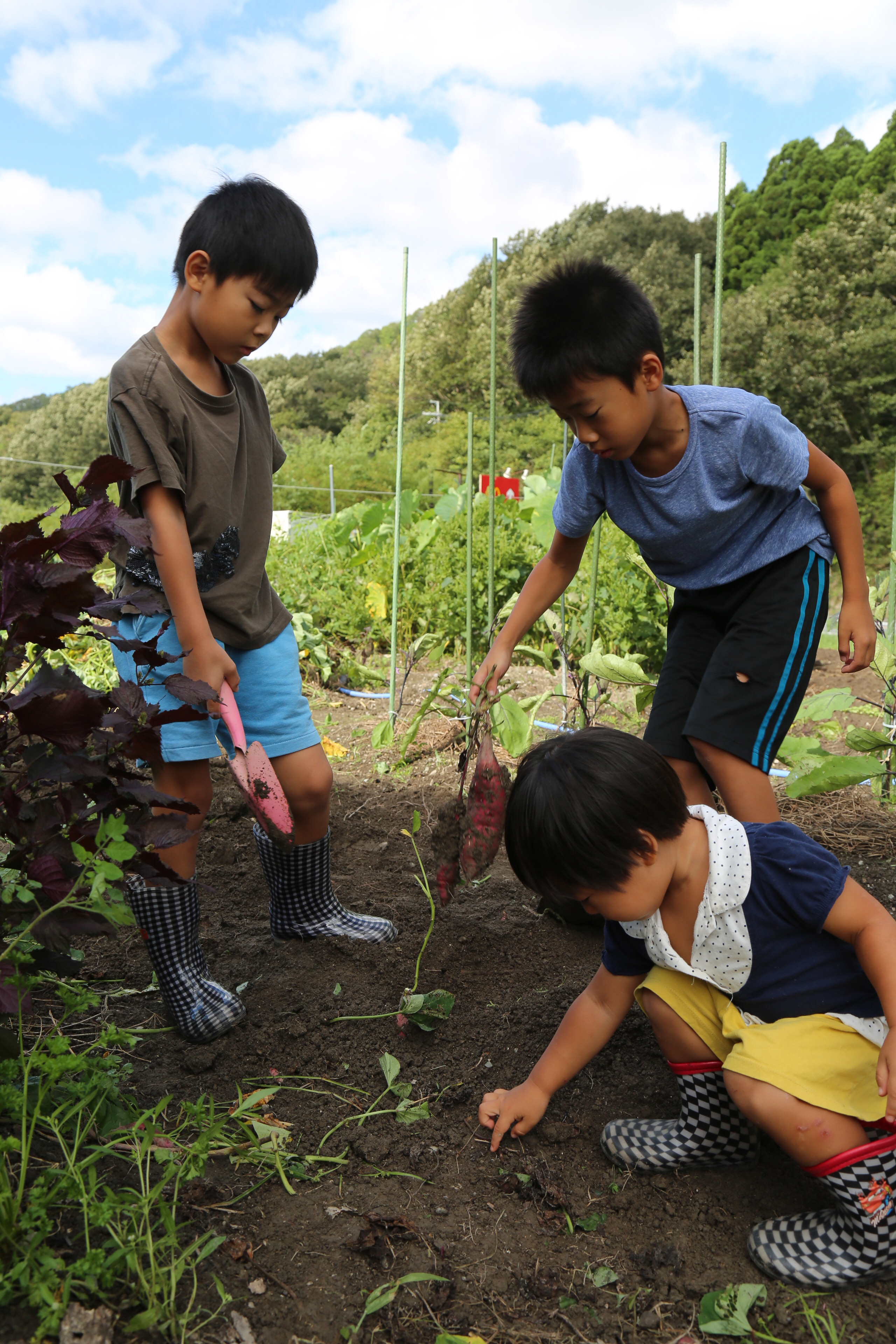 学びと育ちを支える宍粟